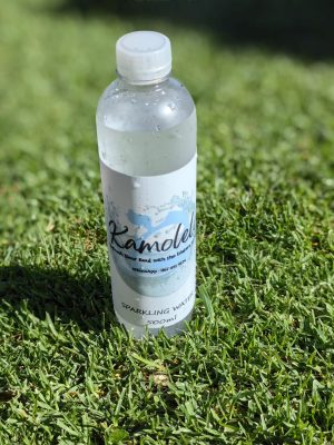 24x 500ml Sparkling Water - Image 4